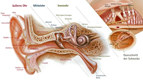 Audiometrie